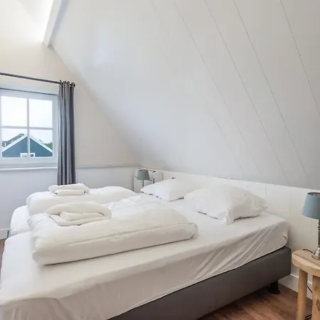 Spacious In The Beemster Near A Windmill *