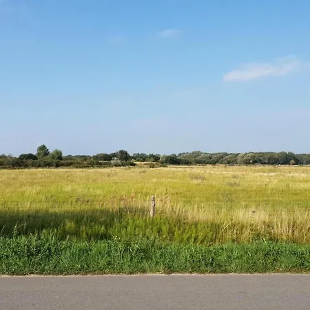 Spacious In The Beemster Near A Windmill *