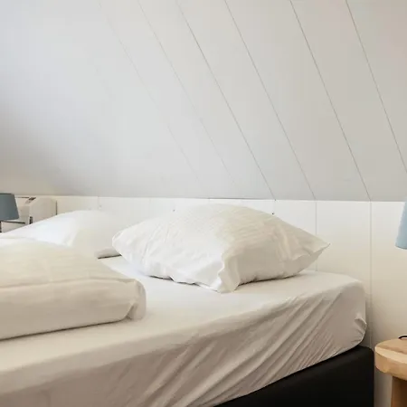 Spacious In The Beemster Near A Windmill Middenbeemster