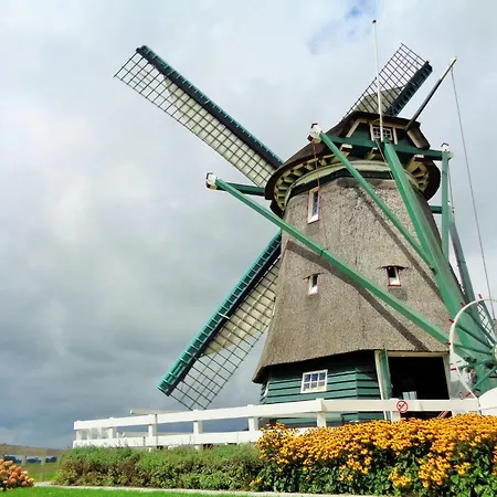 Spacious In The Beemster Near A Windmill *