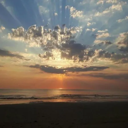 Spacious In The Beemster Near A Windmill בית נופש Middenbeemster