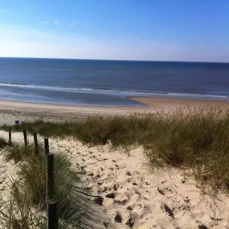 Spacious In The Beemster Near A Windmill