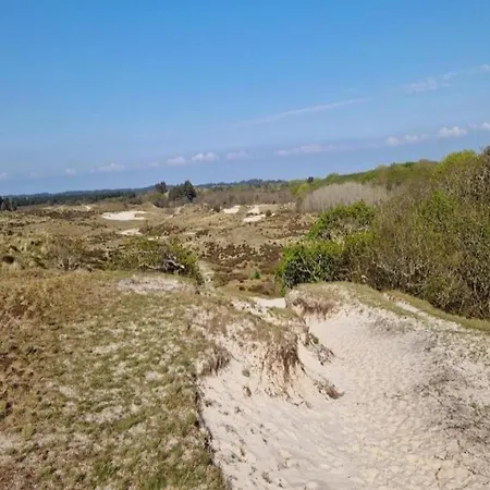 Spacious In The Beemster Near A Windmill Middenbeemster