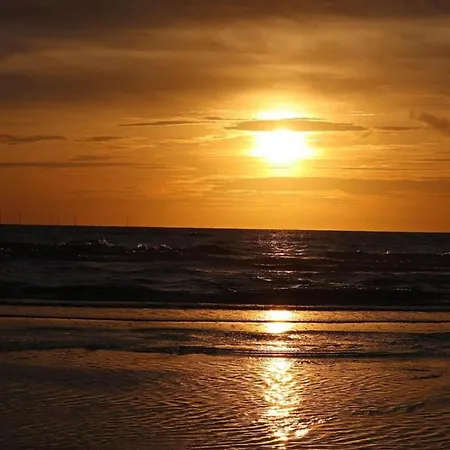 Spacious In The Beemster Near A Windmill * Middenbeemster