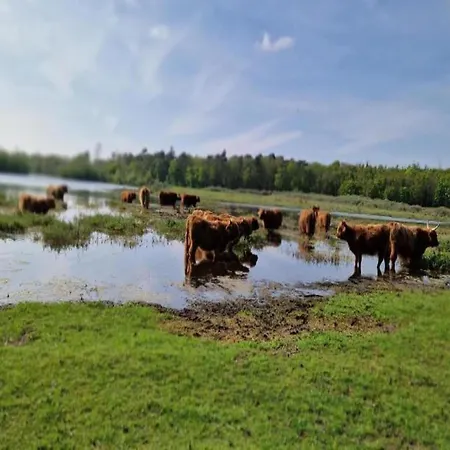 Spacious In The Beemster Near A Windmill בית נופש Middenbeemster