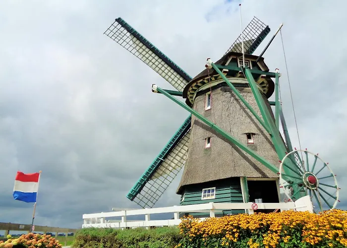 Spacious In The Beemster Near A Windmill * Middenbeemster