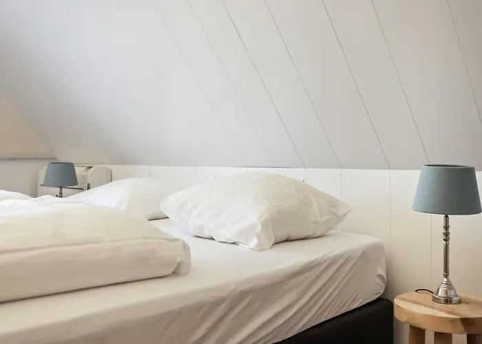 Spacious In The Beemster Near A Windmill Middenbeemster