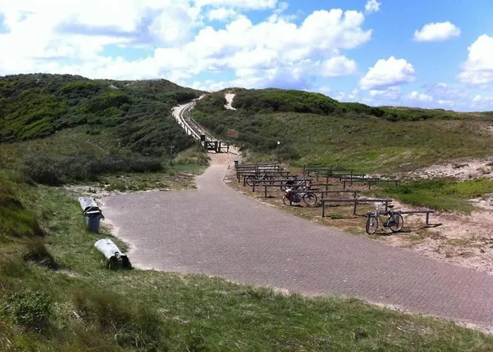 Spacious In The Beemster Near A Windmill *