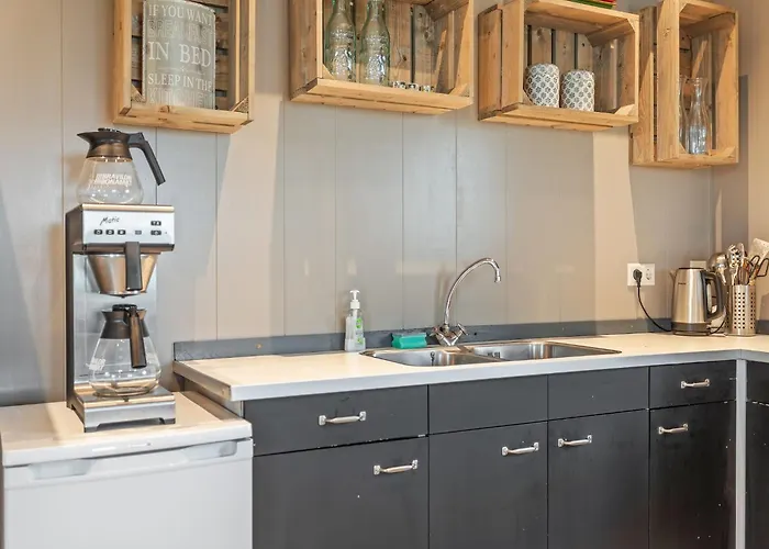 Spacious In The Beemster Near A Windmill Middenbeemster