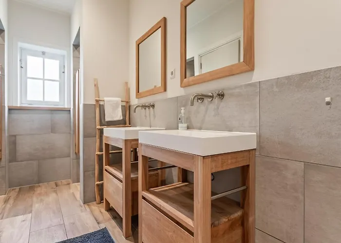 Spacious In The Beemster Near A Windmill