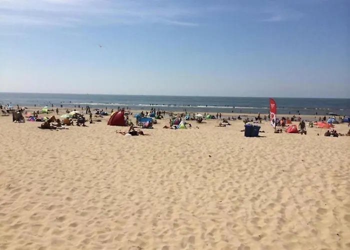 Spacious In The Beemster Near A Windmill *