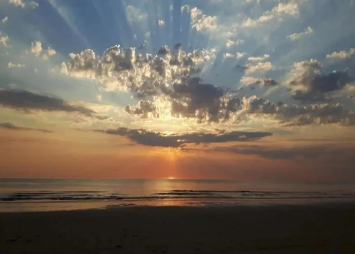 Spacious In The Beemster Near A Windmill * Middenbeemster