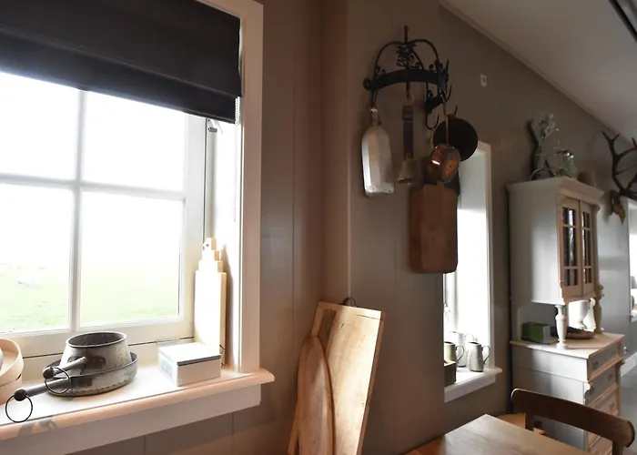 Spacious In The Beemster Near A Windmill *