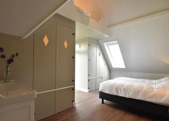 Spacious In The Beemster Near A Windmill Middenbeemster