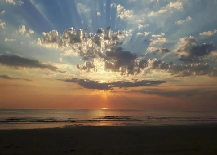 Spacious In The Beemster Near A Windmill Vakantiehuis Middenbeemster