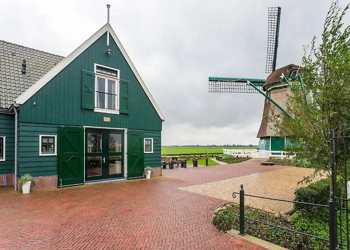Spacious In The Beemster Near A Windmill *