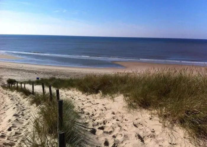 Spacious In The Beemster Near A Windmill
