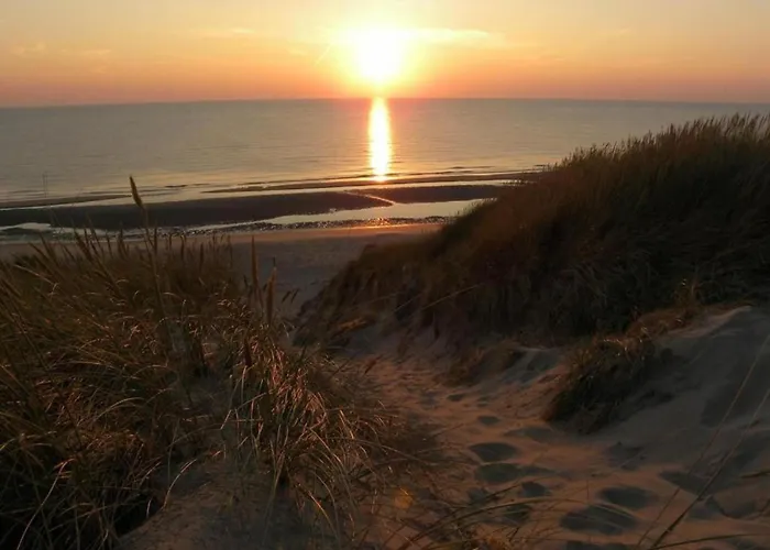 Spacious In The Beemster Near A Windmill * Middenbeemster