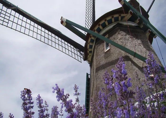 Spacious In The Beemster Near A Windmill Vakantiehuis *