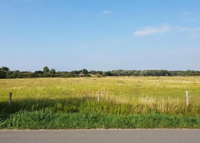 Spacious In The Beemster Near A Windmill *