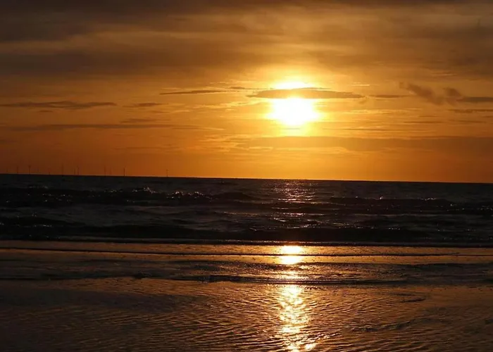 Spacious In The Beemster Near A Windmill * Middenbeemster