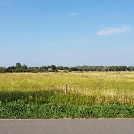 Spacious In The Beemster Near A Windmill *
